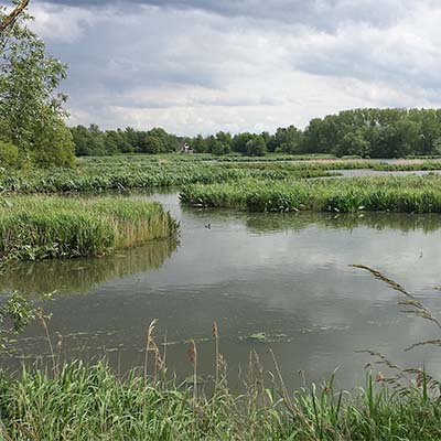 MolsbroekLokeren