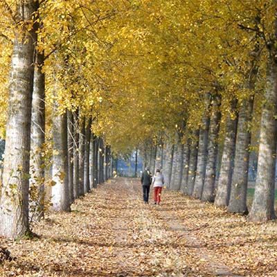 OudeTramrouteDoorslaar